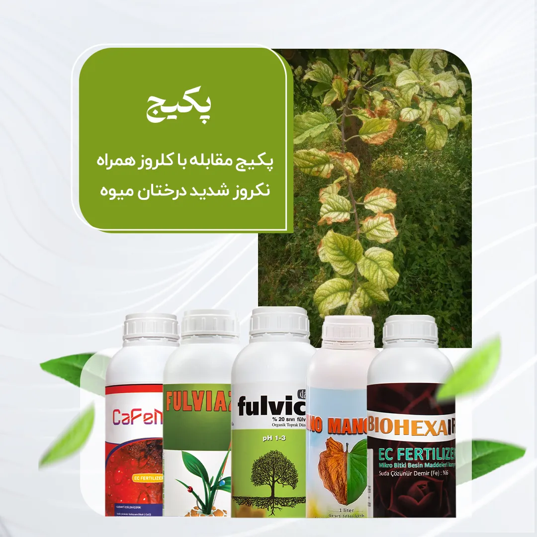 پکیج مقابله با کلروز همراه نکروز شدید درختان میوه