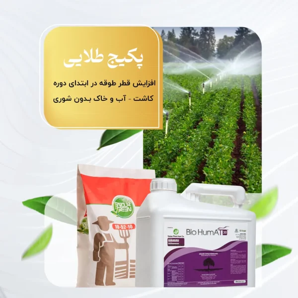 پکیج طلائی – افزایش قطر طوقه در ابتدای دوره کاشت