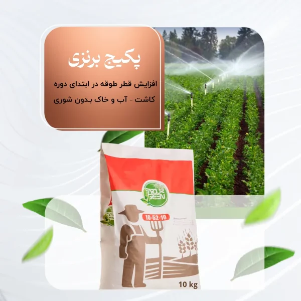 پکیج برنزی – افزایش قطر طوقه در ابتدای دوره کاشت – آب و خاک بدون شوری