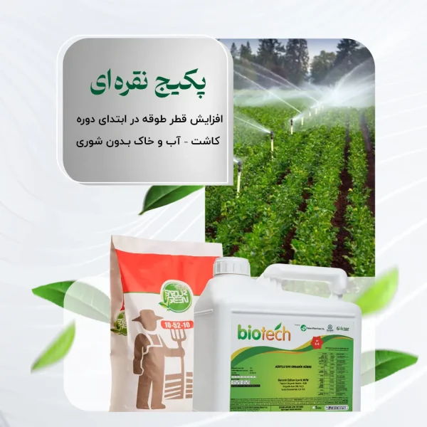 پکیج نقره ای – افزایش قطر طوقه در ابتدای دوره کاشت – آب و خاک بدون شوری
