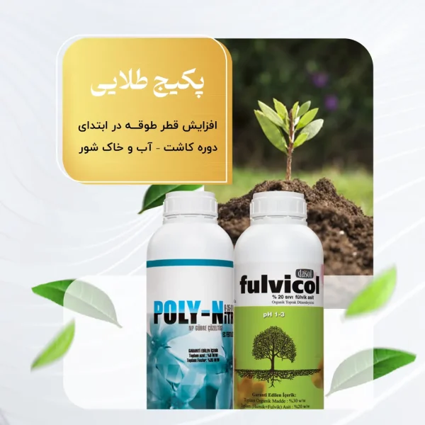پکیج طلائی– افزایش قطر طوقه در ابتدای دوره کاشت – آب و خاک شور