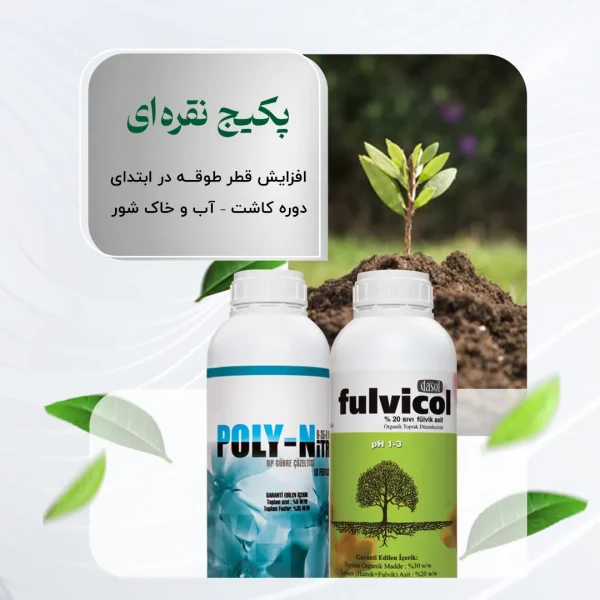 پکیج نقره ای– افزایش قطر طوقه در ابتدای دوره کاشت – آب و خاک شور