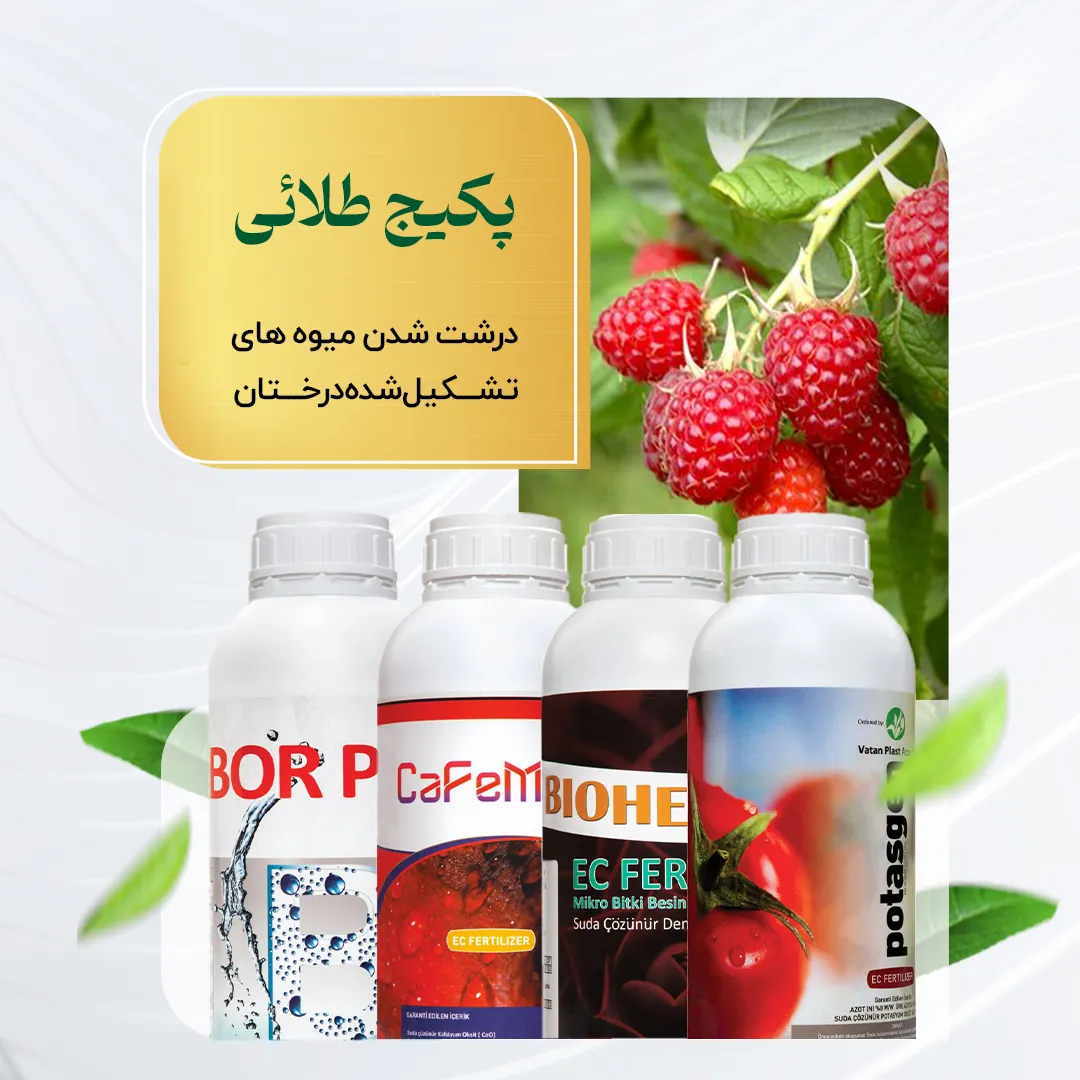 پکیج طلائی – درشت شدن میوه تشکیلشده درختان
