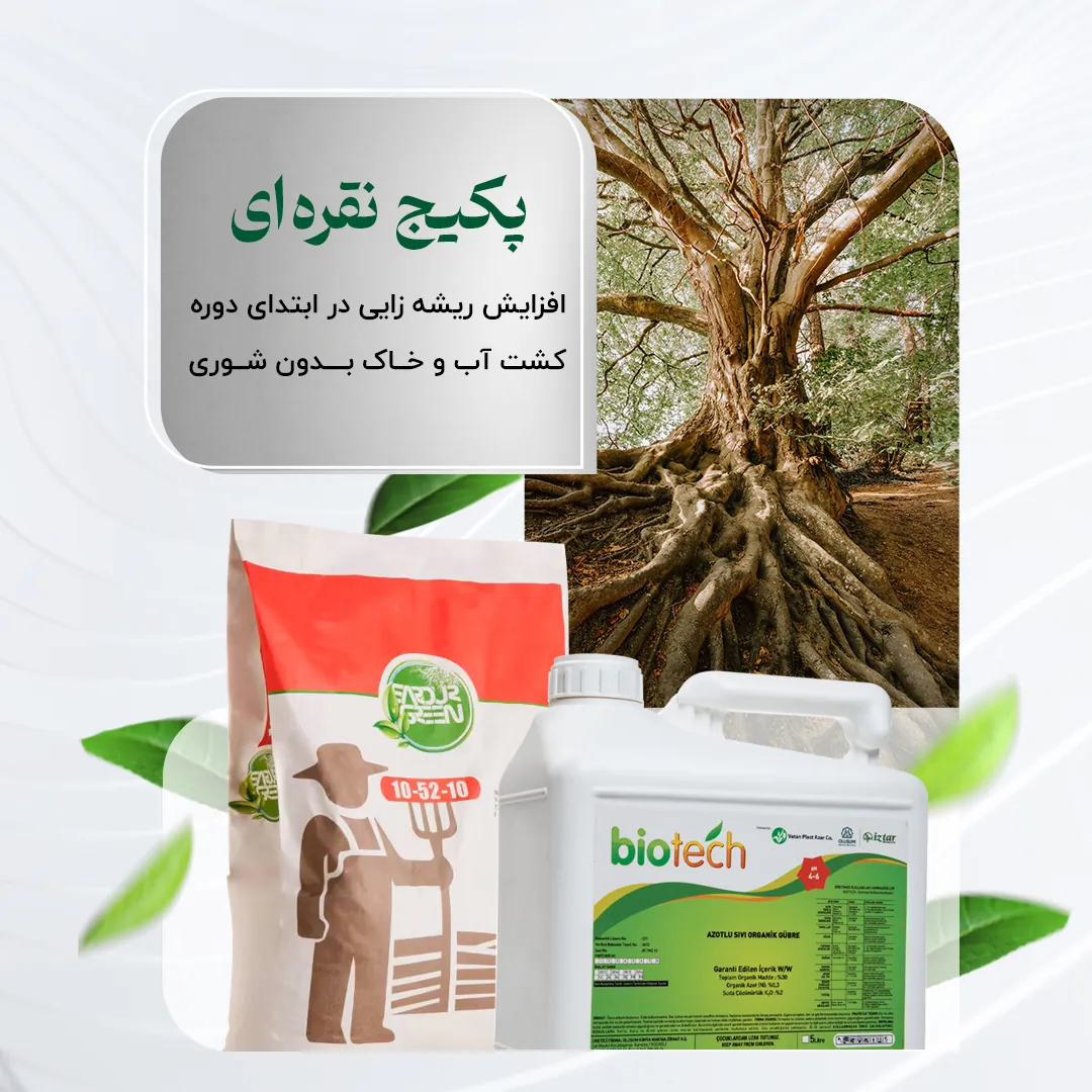 پکیج نقره ای – افزایش ریشه زایی در ابتدای دوره کشت آب و خاک بدون شوری