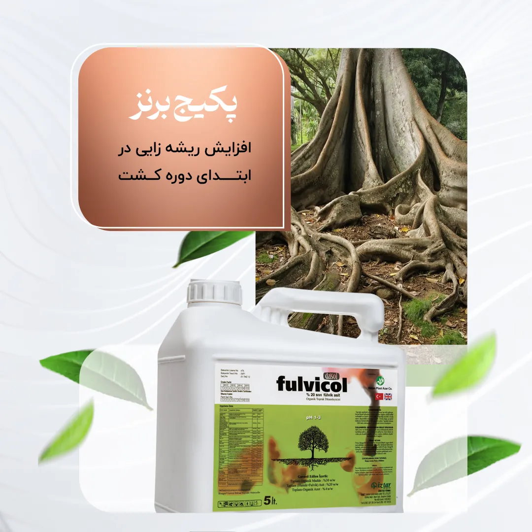 پکیج برنزی – افزایش ریشه زایی در ابتدای دوره کشت