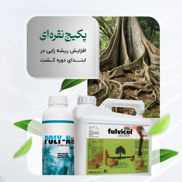 پکیج نقره ای – افزایش ریشه زایی در ابتدای دوره کشت
