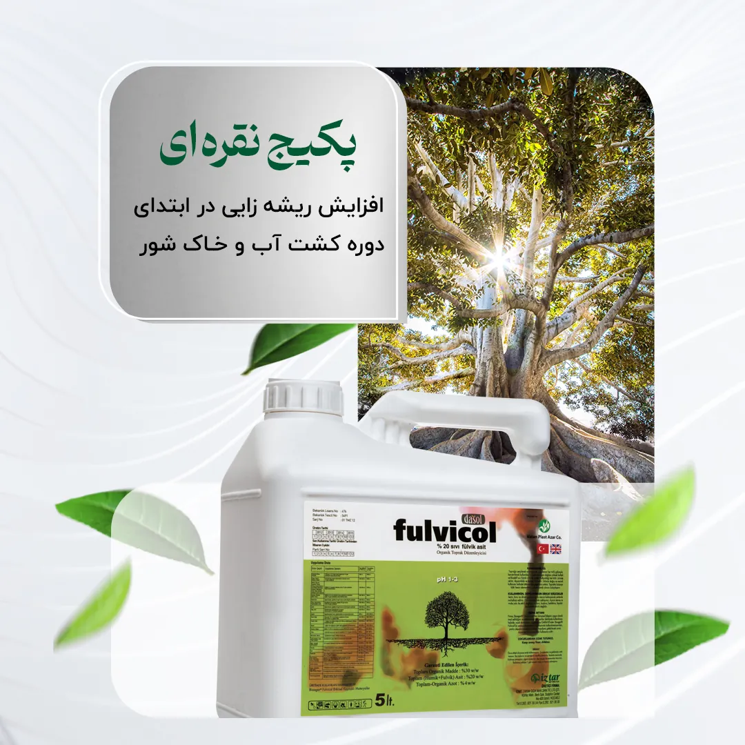 پکیج نقره ای – افزایش ریشه زایی در ابتدای دوره کشت آب و خاک شور