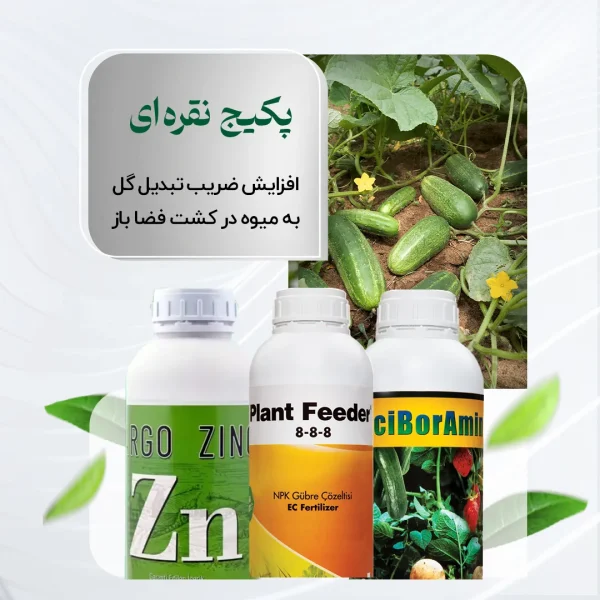 پکیج نقره‌ای – افزایش ضریب تبدیل گل به میوه کشت فضای باز