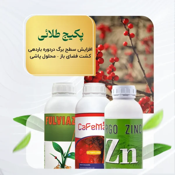 پکیج طلائی – افزایش سطح برگ در دوره باردهی کشت فضای باز – محلول پاشی