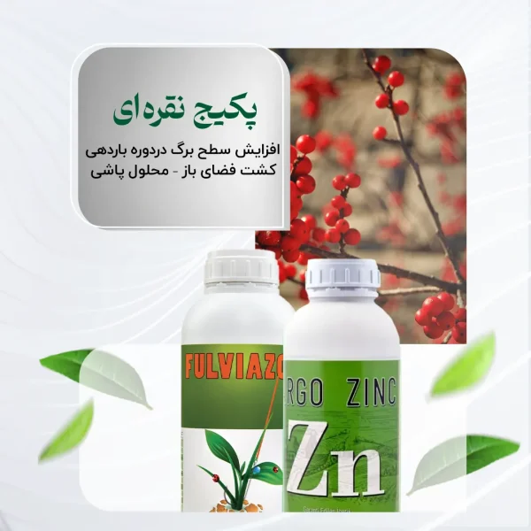 پکیج نقره ای – افزایش سطح برگ در دوره باردهی کشت فضای باز – محلول پاشی