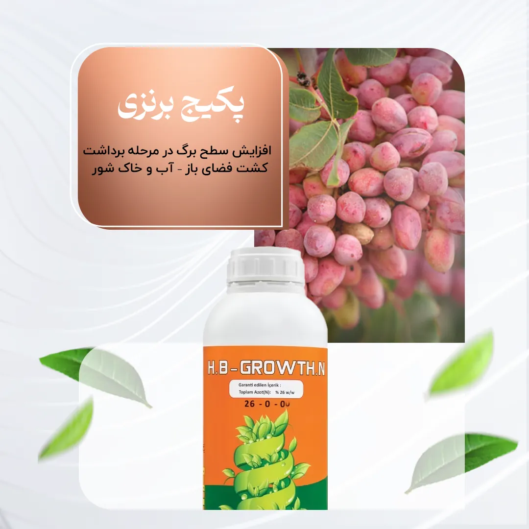 پکیج برنزی – افزایش سطح برگ در مرحله برداشت کشت فضای باز بدون آب و خاک شور
