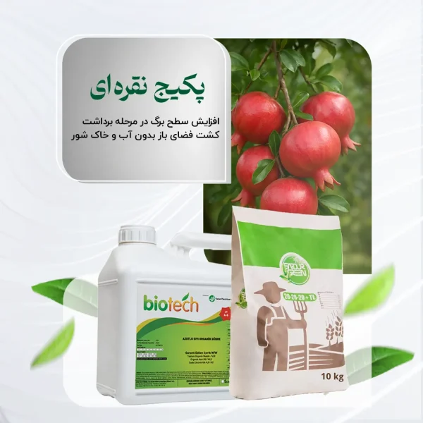 پکیج نقره‌ای – افزایش سطح برگ در مرحله برداشت کشت فضای باز بدون آب و خاک شور