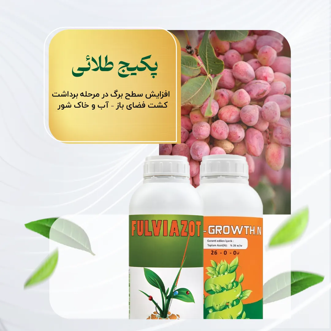پکیج طلایی – افزایش سطح برگ در مرحله برداشت کشت فضای باز – آب و خاک شور