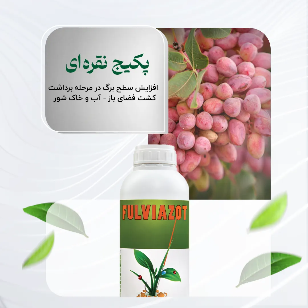 پکیج نقرهای – افزایش سطح برگ در مرحله برداشت کشت فضای باز – آب و خاک شور